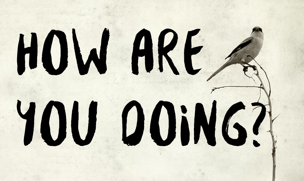 HOW are you doing X WHAT are you doing? Qual a diferença? 